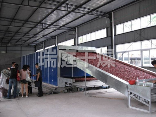 DWC系列脱水蔬菜带式干燥机