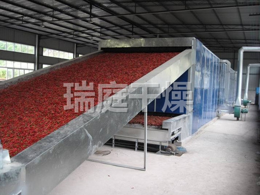 DWC系列脱水蔬菜带式干燥机