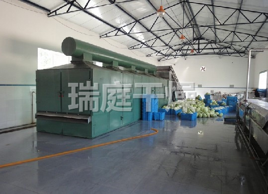 DWC系列脱水蔬菜带式干燥机